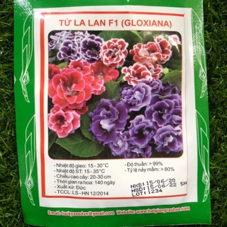HẠT GIỐNG HOA TỬ LA LAN F1 (5hạt/gói)