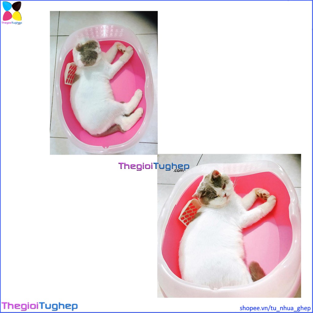 Khay vệ sinh cho mèo hình trứng giá rẻ cỡ trung (size M), chọn được màu