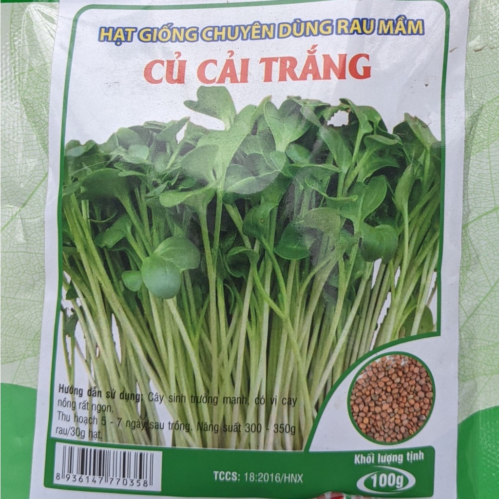 Hạt giống rau mầm củ cải trắng 100g - Hạt giống chuyên dùng rau mầm