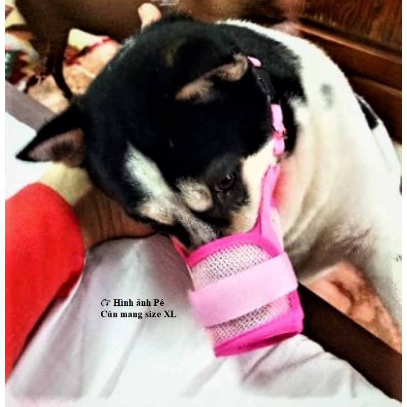 RỌ MÕM CHO CHÓ BẰNG VẢI LƯỚI THOÁNG KHÍ (COMBO: 10 CÁI) -  LOVE PETS SHOP