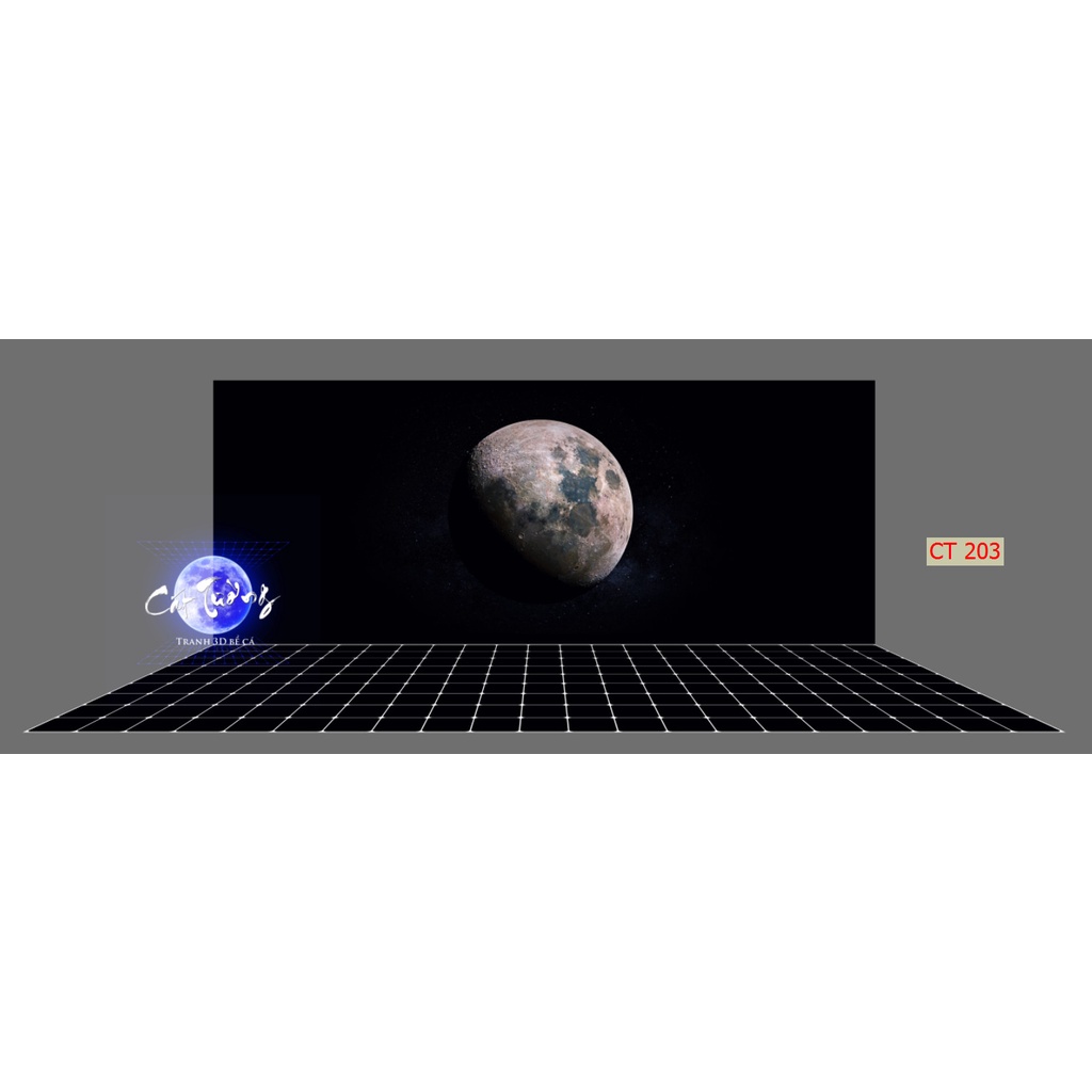tranh 3d. tranh dán bể cá thủy sinh, bể cá rồng (tranh lưng)