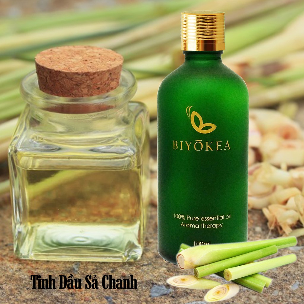 [Mã SKAMLTSM9 giảm 10% đơn 99K] Tinh dầu sả chanh, tinh dầu xông phòng 100ml, biyokea