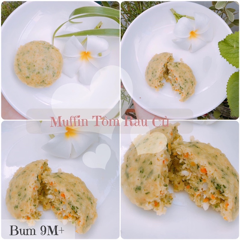 Bột hữu cơ làm bánh cho bé/ bột mì, bắp, năng, gelatin, pudding, nếp, nở, men nở, đường