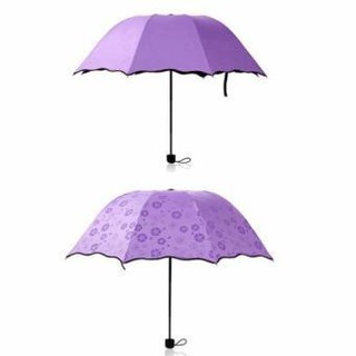  Ô NỞ HOA GẤP GỌN [  cơn bão giảm giá ]