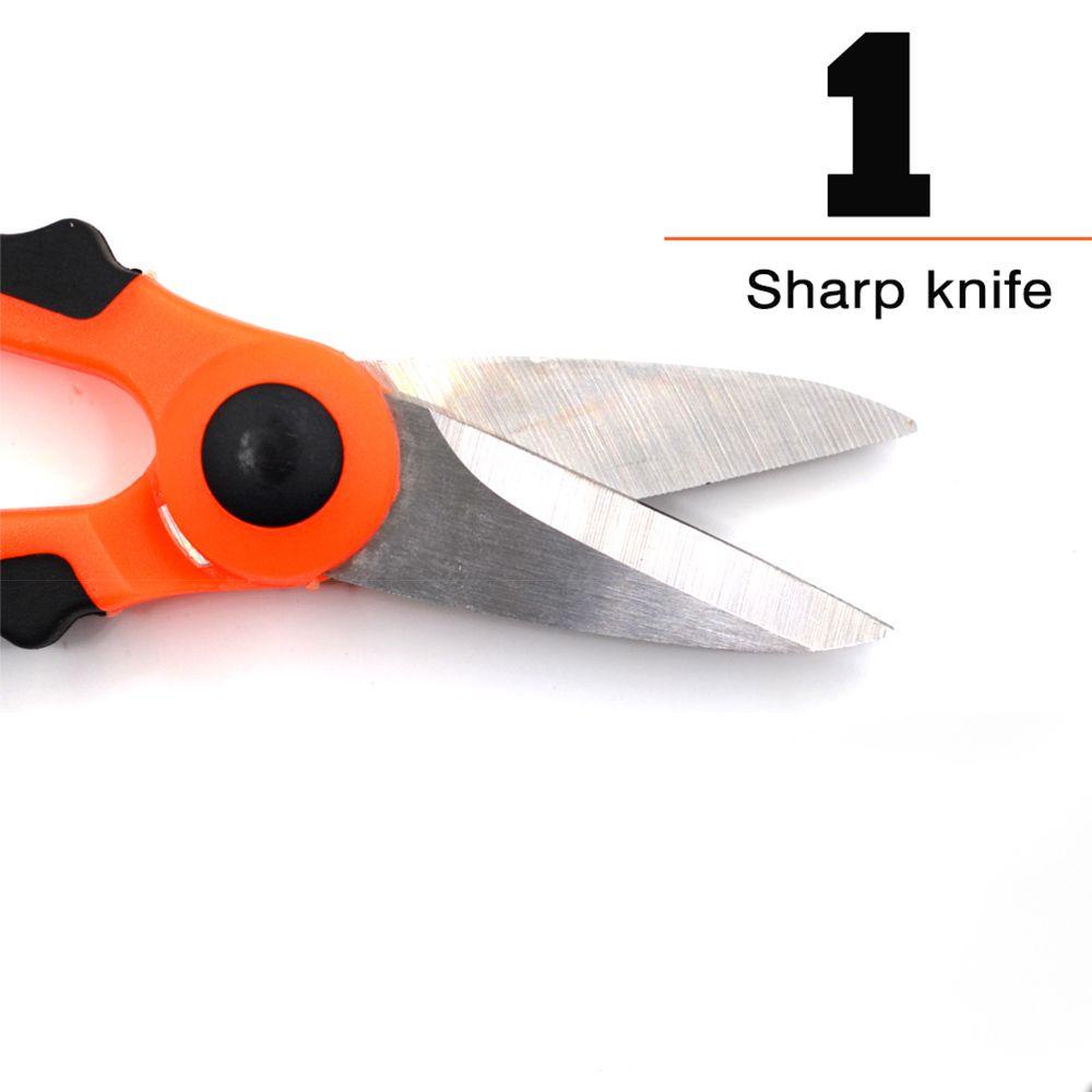 1 Bộ Kéo Cắt Cá Mini 14cm Bằng Thép Không Gỉ