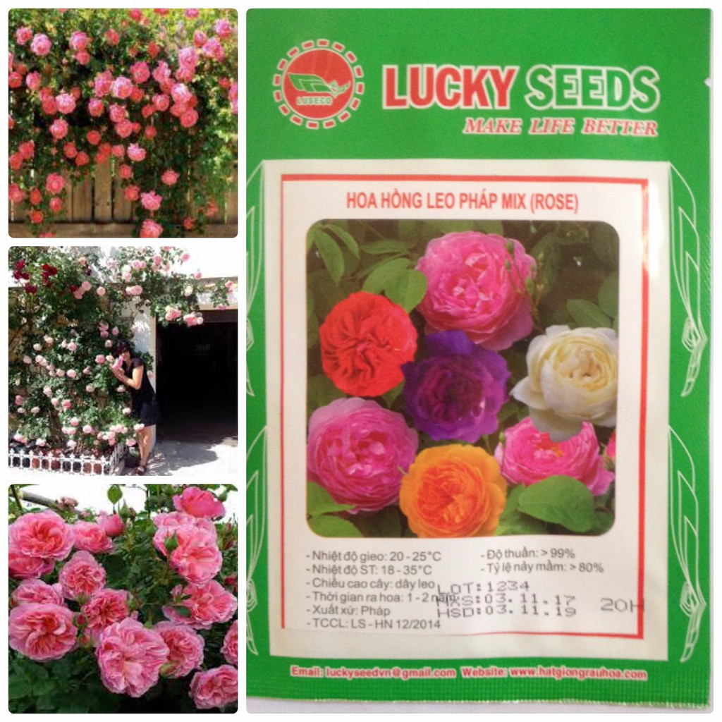 -58k Combo Hạt Giống Rau Hoa Lucky seeds vip Xuân, tặng 1 gói ATONIK kích mầm