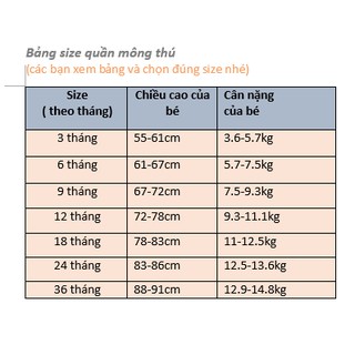 Set 5 quần mông thú Carter