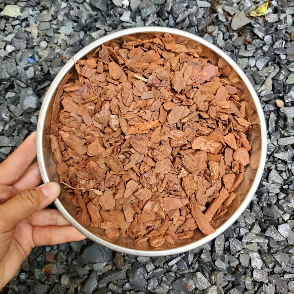 Vỏ thông size nhỏ 3-6mm túi 1kg