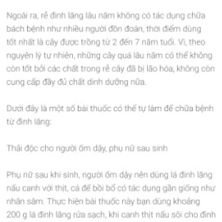 Com bo 5 cay giống đinh lăng
