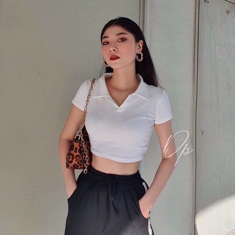 [Áo Nữ] Áo croptop polo cổ bẻ trơn 4 màu hot trend | BigBuy360 - bigbuy360.vn