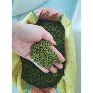Đậu xanh nguyên hạt (hột)