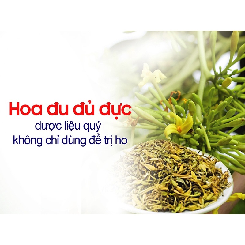 Hoa Đu Đủ Đực Sấy Lạnh Tây Bắc Thơm Đẹp