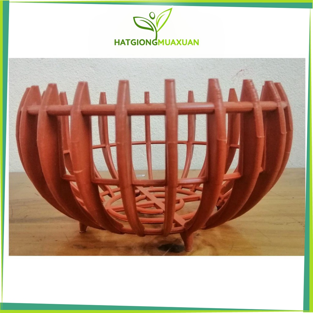 5 Chậu Bí Gỉa Gỗ Trồng Lan Fi20 - Màu Cam