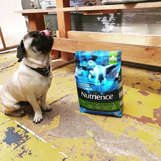 Thức Ăn Cho Chó Husky Con Nutrience Original Bao 2,5kg - Thịt Gà, Rau Củ Và Trái Cây Tự Nhiên