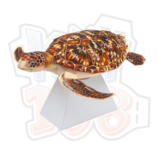 Mô hình giấy động vật Rùa biển