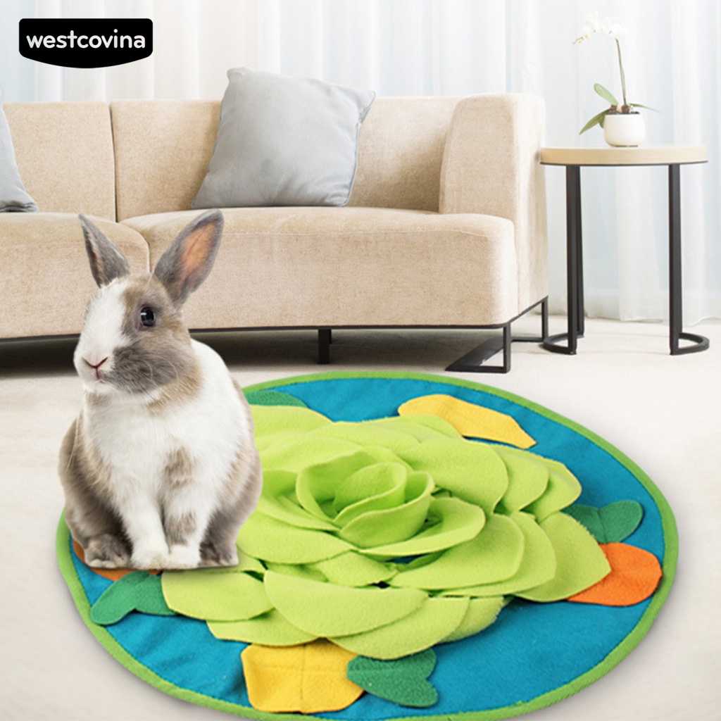 Bộ Đồ Chơi Đựng Thức Ăn Chậm Giải Đố Cho Thú Cưng