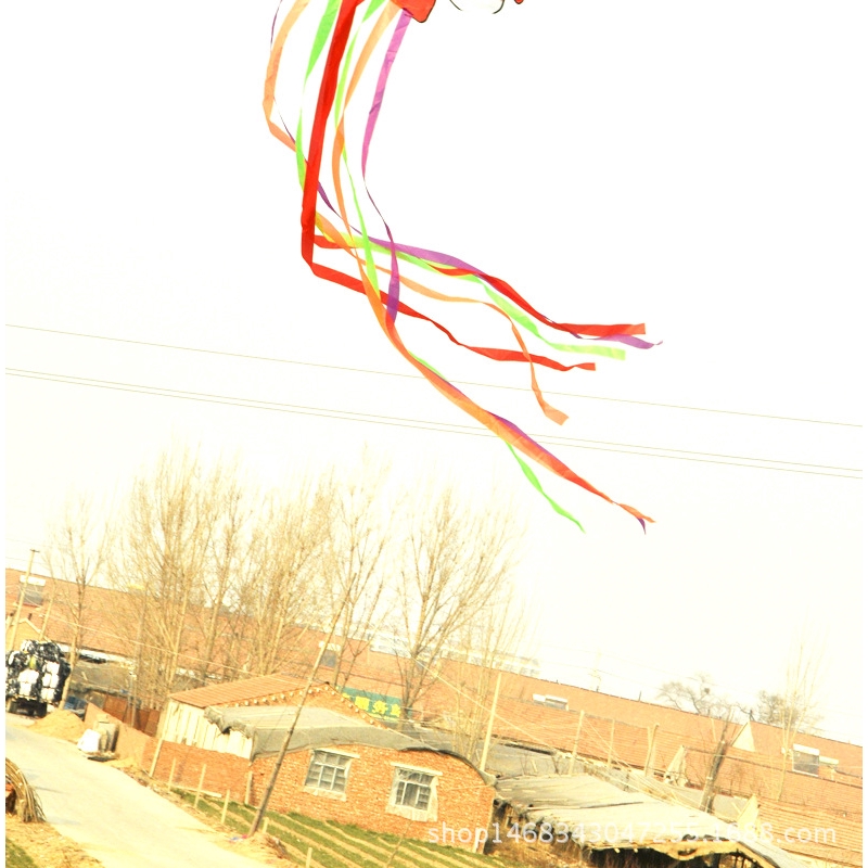 Diều thả hình bạch tuộc 3D độc đáo dây dài 4m