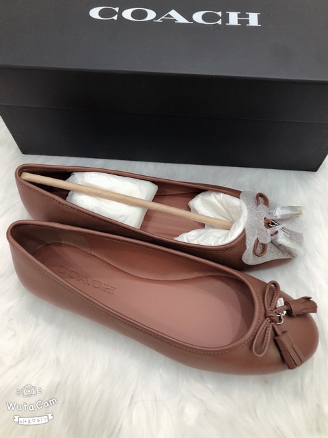 Giày coach auth 100%, size 37.5