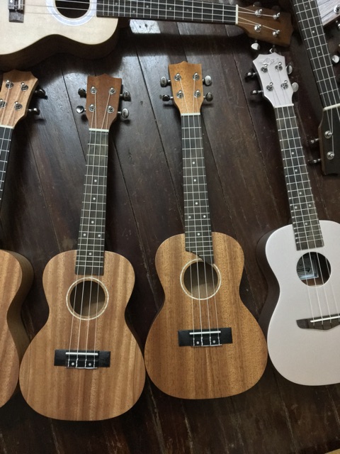 TỔNG HỢP CÁC MẪU UKULELE MỚI VỀ 8/12 GIÁ RẺ