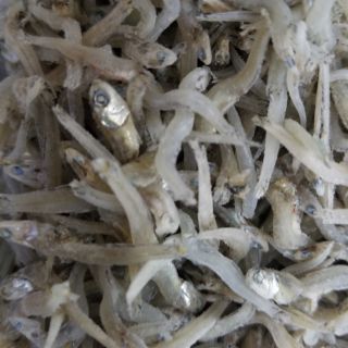 500gr cá cơm mờm sữa Nha Trang