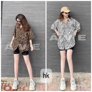 Set bộ sơ mi vằn báo so hot