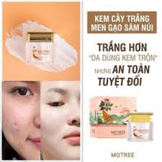 Kem Dưỡng Trắng Da Face Motree, Cấy Trắng Men Gạo Sâm Núi, Rice Ginseng Cream, Trắng Hồng Bật Tone