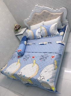 Update cotton poly mẫu mới 