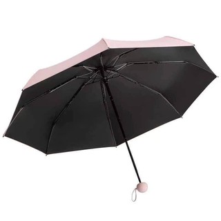 Ô gấp gọn siêu tiện lợi
