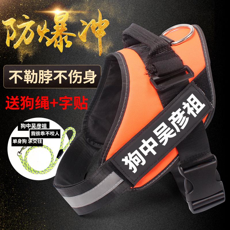 Dây dắt thú cưng đi dạo cỡ vừa và lớn