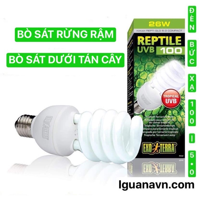 ĐÈN BỨC XẠ UVB 100 / 5.0. DÀNH CHO PET RỪNG NHIỆT ĐỚI NHƯ IGUANA RỒNG NAM MỸ, VẸT, CHIM, GÀ, TRĂN RẮN, EXO TERRA GIÁ SĨ