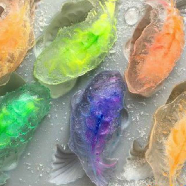 Khuôn thạch 6 cá chép nhỏ