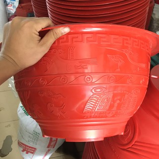 5Chậu nhựa T480 không lỗ trồng hoa sen, hoa súng