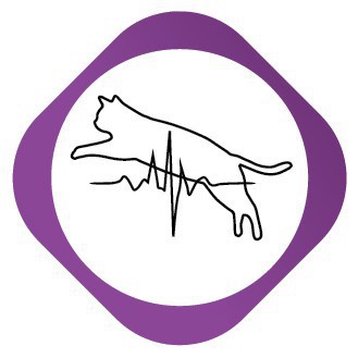 Thức ăn cho mèo Eminent Adult Cat -2kg, hạt cho mèo trưởng thành, đồ ăn cho mèo Eminent Adult Cat Chicken, cộng hòa Séc