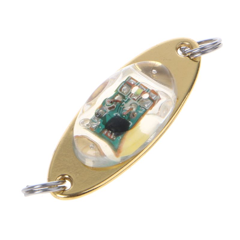 QQ Mồi Câu Cá Giả Hình Con Mực Có Đèn LED Nhấp Nháy