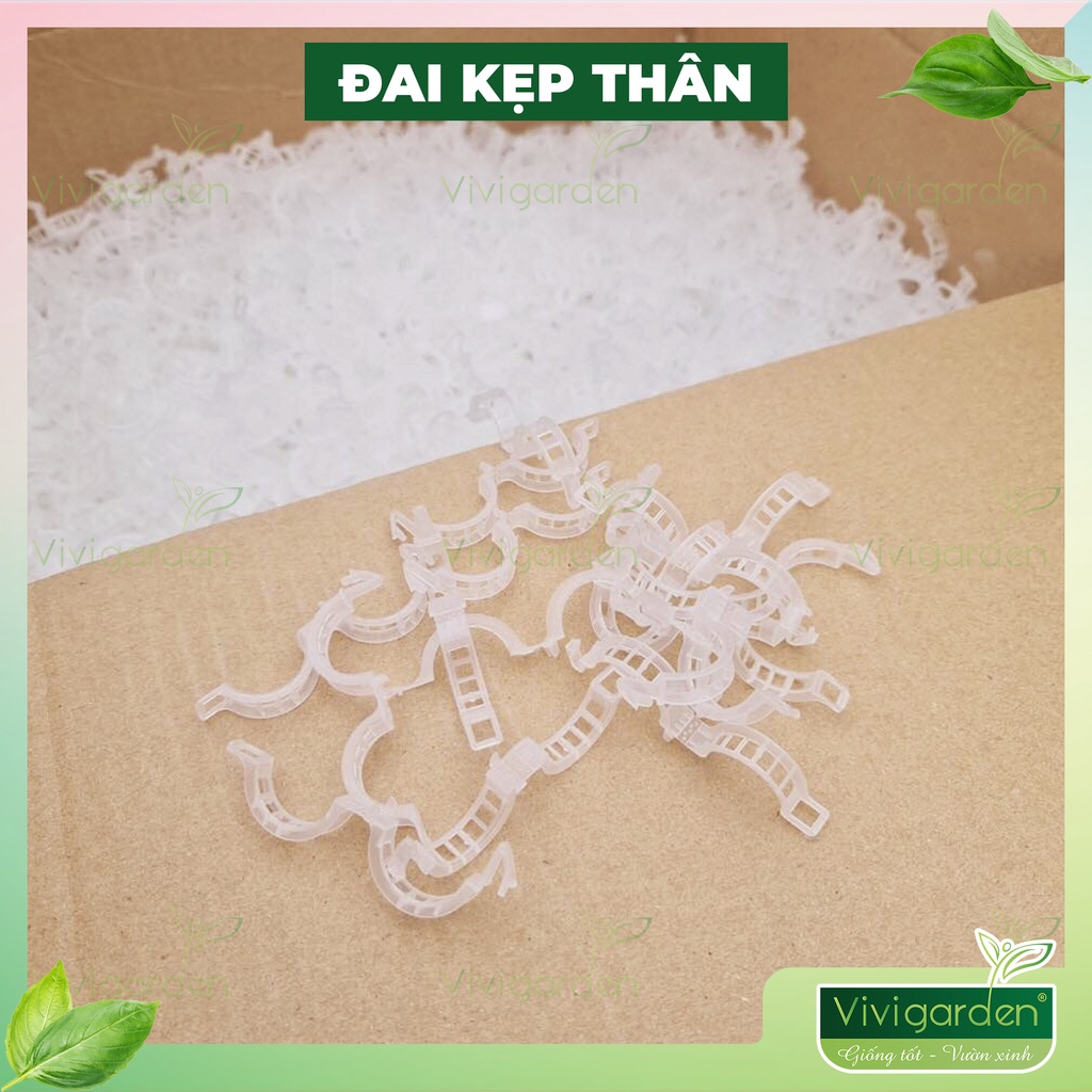 Combo 10 ĐAI KẸP THÂN DÂY DƯA nhựa trắng loại tốt giúp cố định, định hướng cây cây mọc theo dây treo có thể tái sử dụng