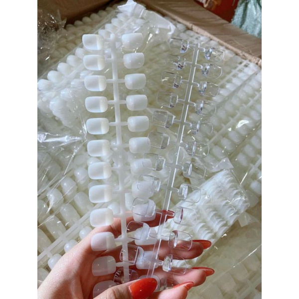 móng mẫu thanh đầu vuông (thanh 24 móng)