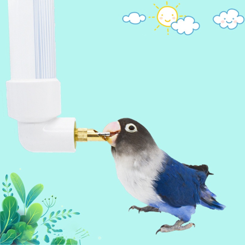 Bình Uống Nước Nhỏ Giọt Cho Thỏ / Heo / Chuột