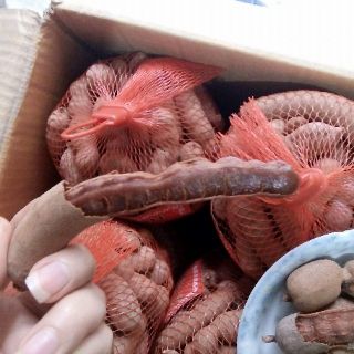 Me Thái sấy