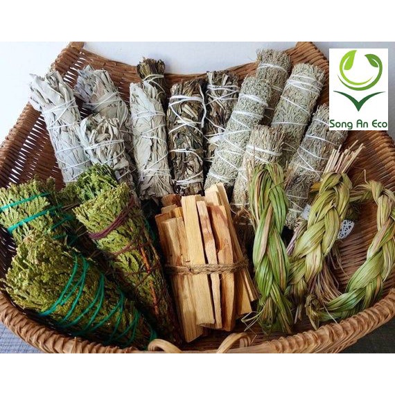 50 loại lá xô thơm - Thảo mộc thanh tẩy nhà cửa (Palo santo, Xô thơm trắng, Xô thơm xanh, Tuyết tùng, hương thảo...