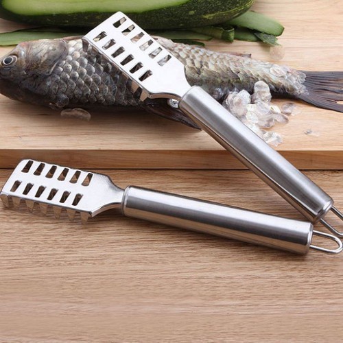 Cây cạo vảy cá sạch bằng inox tiện lợi nhanh chóng