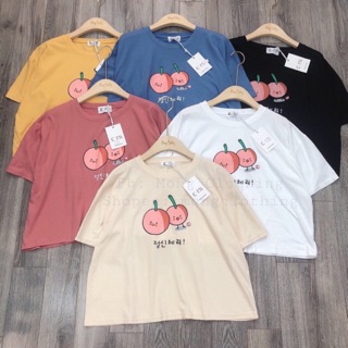 [SALE] Áo croptop in hình.