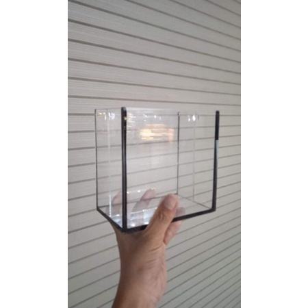Hồ show betta dấu keo siêu trong 5 ly 2 ngăn