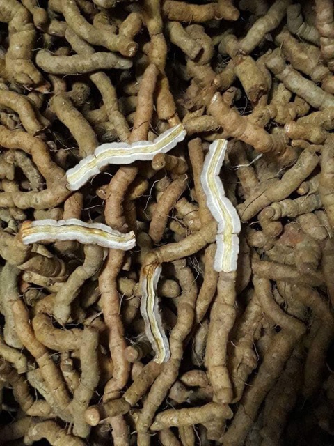 1KG BA KÍCH TÍM QUẢNG NINH HÀNG CHỌN ( LOẠI A1 ) | BigBuy360 - bigbuy360.vn