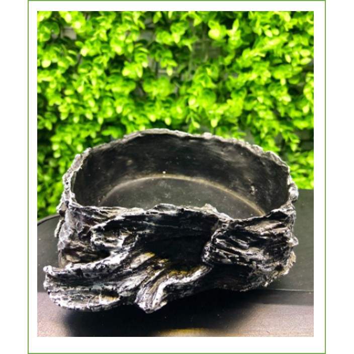 CHÉN ĂN, CHÉN NƯỚC SIÊU TO, KHỔNG LỒ CHO thuỷ sinh, bể cá BÒ SÁT