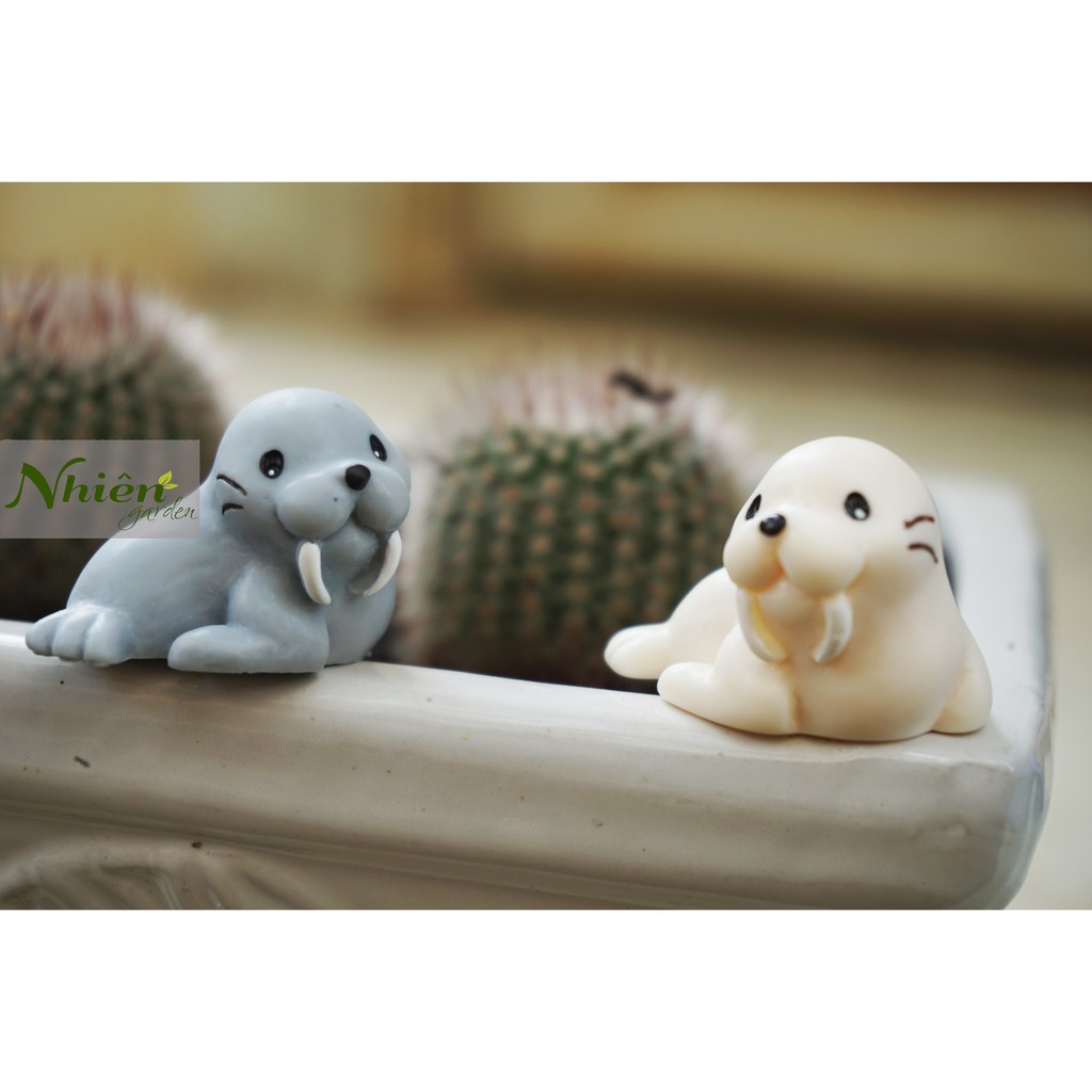 |FREESHIP| Phụ kiện Hải cẩu- Phụ kiện trang trí cây xanh để bàn làm việc, mô hình trang trí cho bể cá, tiểu cảnh