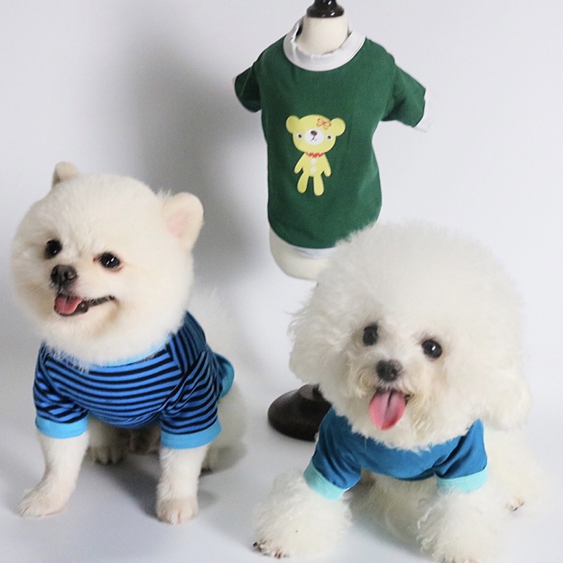 Áo Thun Cotton Gấu Giá Rẻ Quần Áo Thú Cưng Carapets