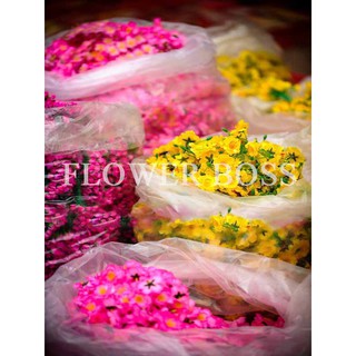 1kg đầy đủ hoa mai, đào giả - trang trí tết