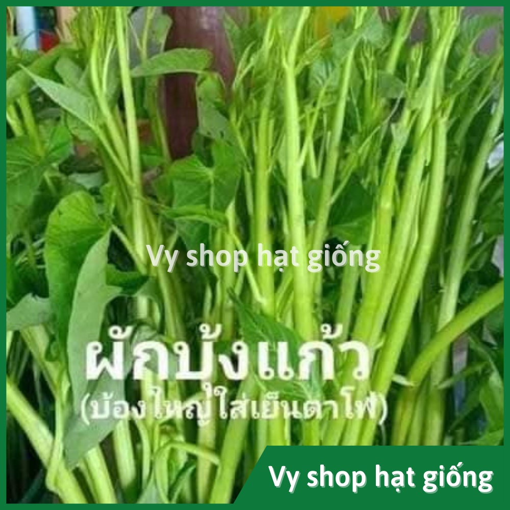 Hạt giống rau muống siêu ngọn Thái Lan gói 150 hạt