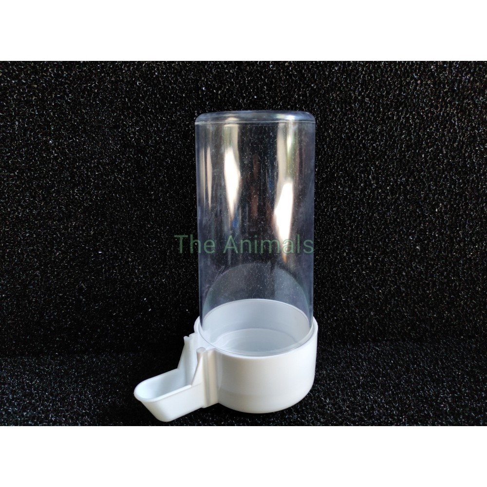 Các loại bình cấp nước tự động cho chim loại nhập khẩu (trắng)
