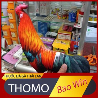 Gà giả tập lực cho gà loại tốt phụ kiện đá gà cựa sắt